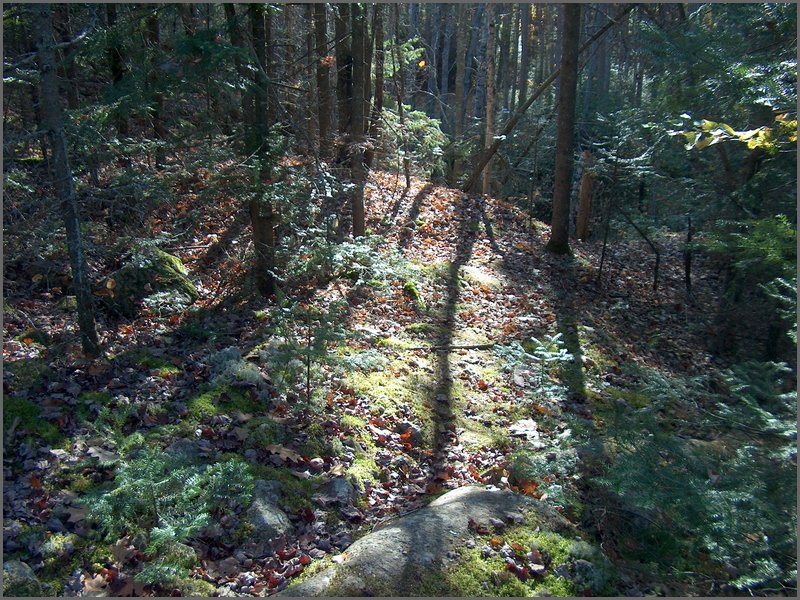 October 2006 - 187.JPG