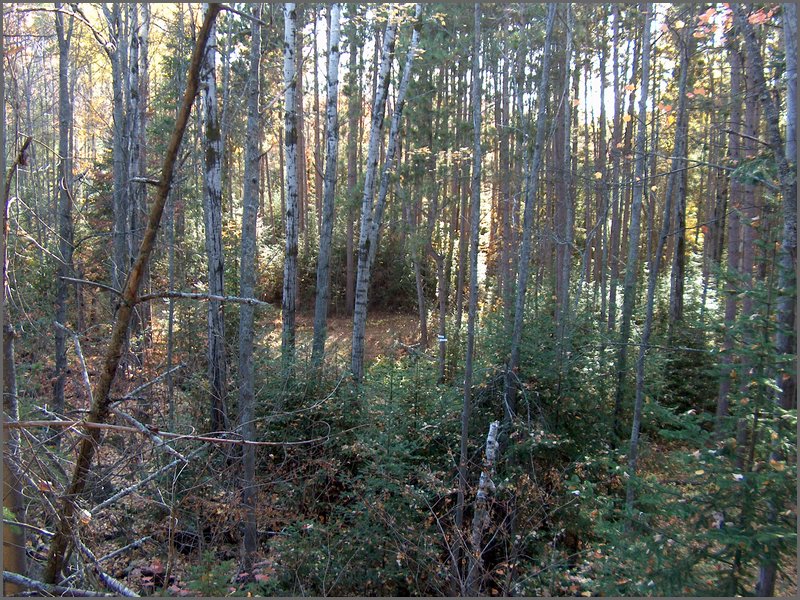 October 2006 - 188.JPG