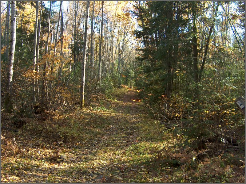 October 2006 - 192.JPG