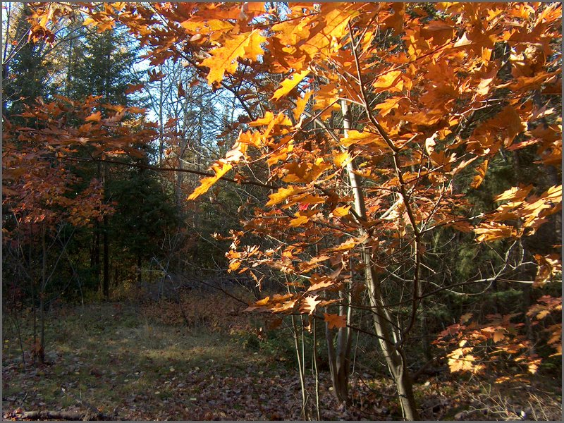 October 2006 - 210.JPG