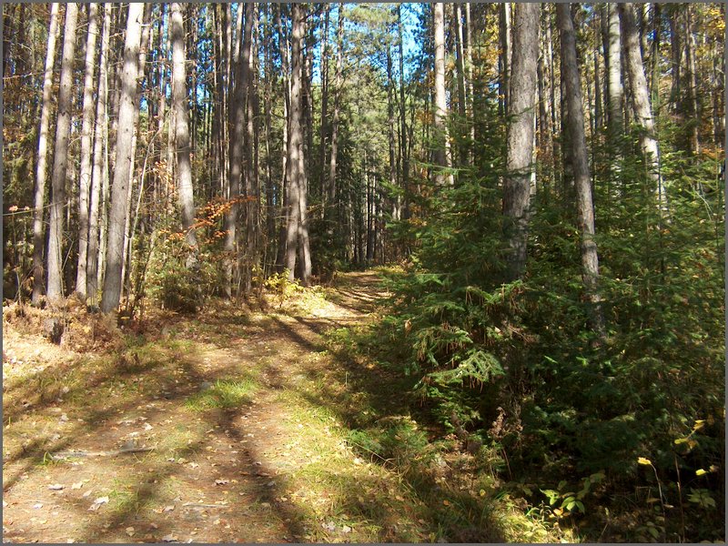 October 2006 - 221.JPG