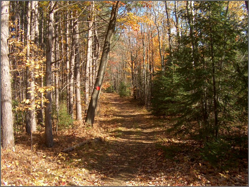 October 2006 - 226.JPG