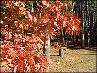 October 2006 - 103.JPG
