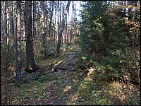 October 2006 - 104.JPG