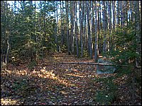 October 2006 - 111.JPG
