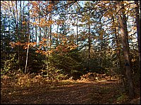 October 2006 - 114.JPG