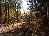 October 2006 - 116.JPG