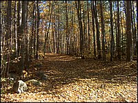 October 2006 - 117.JPG