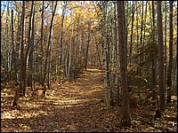 October 2006 - 119.JPG