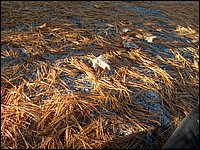 October 2006 - 128.JPG