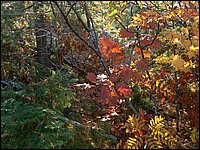 October 2006 - 132.JPG