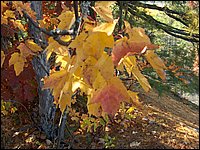 October 2006 - 133.JPG