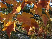 October 2006 - 134.JPG