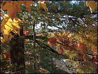 October 2006 - 135.JPG