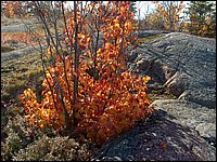October 2006 - 140.JPG