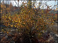October 2006 - 142.JPG