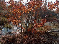 October 2006 - 146.JPG