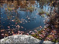 October 2006 - 148.JPG