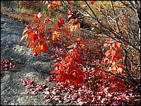 October 2006 - 150.JPG