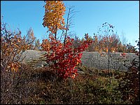 October 2006 - 156.JPG