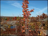 October 2006 - 162.JPG