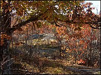 October 2006 - 172.JPG