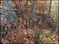 October 2006 - 180.JPG