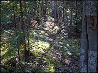 October 2006 - 186.JPG