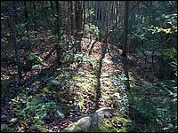 October 2006 - 187.JPG