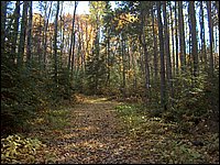 October 2006 - 189.JPG