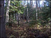 October 2006 - 198.JPG