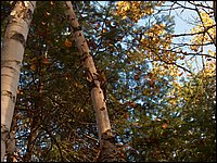 October 2006 - 200.JPG
