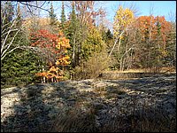 October 2006 - 201.JPG