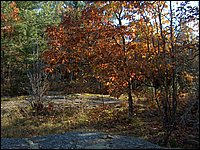 October 2006 - 202.JPG