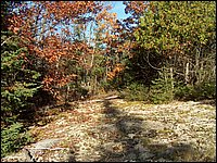 October 2006 - 208.JPG