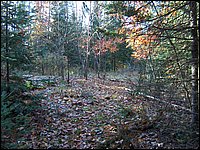 October 2006 - 209.JPG