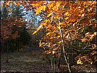 October 2006 - 210.JPG