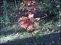October 2006 - 213.JPG