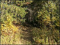 October 2006 - 217.JPG