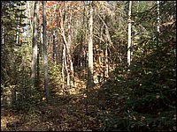 October 2006 - 219.JPG