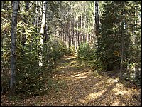 October 2006 - 220.JPG
