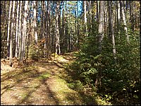 October 2006 - 221.JPG