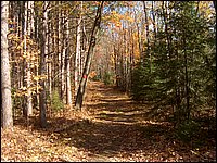 October 2006 - 226.JPG