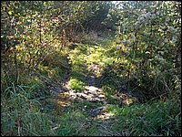 October 2006 - 238.JPG