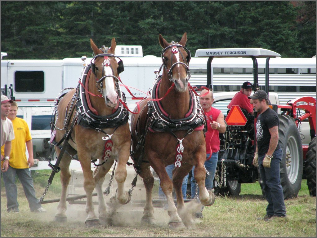 Img_3413.jpg