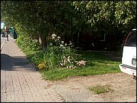 Hpim1467.jpg