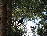 Img_0176.jpg