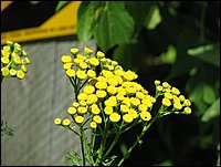 Img_0183.jpg