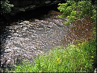 Img_0196.jpg