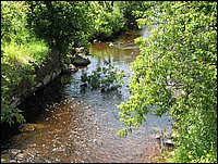 Img_0197.jpg